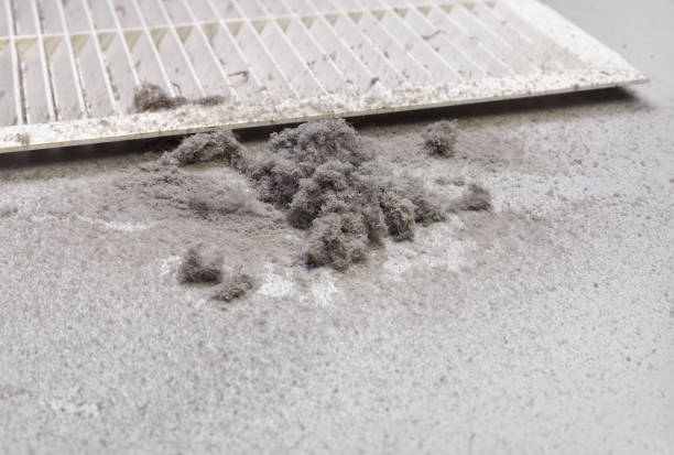 Best Affordable Duct Cleaning Services  in Blooming Prairie, MN