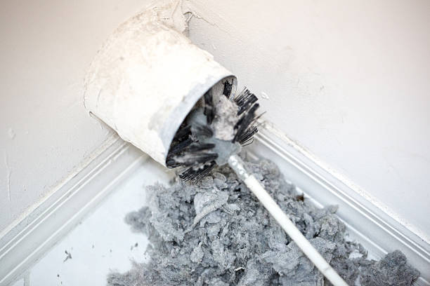 Best Air Duct Inspection  in Blooming Prairie, MN