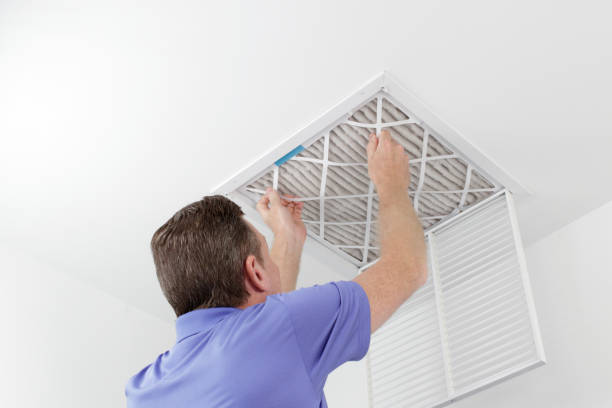 Best Best Air Duct Cleaning Company  in Blooming Prairie, MN